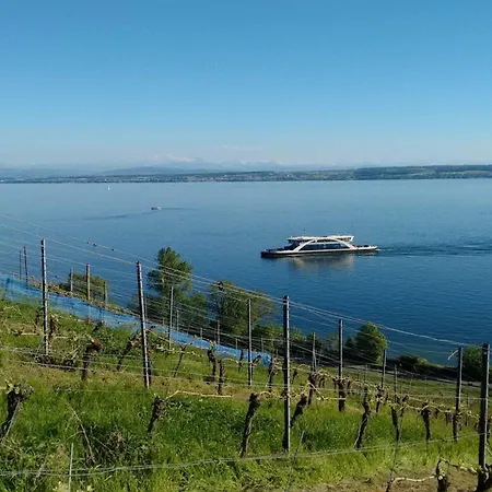 Haus Alexander * מיירסבורג